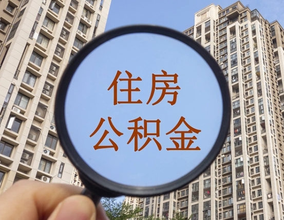 磐石退休后查不到公积金明细了吗（退休后公积金查询不到原因）